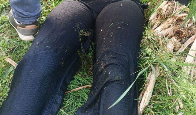 Sakarya'da gölette ceset bulundu