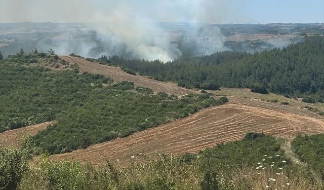 Araçta çıkan yangın ormanlık alana sıçradı