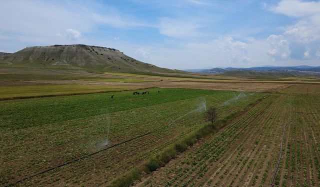 Eskişehir'de sulama sezonu başladı: 405 bin dekar tarım arazisi suyla buluşacak