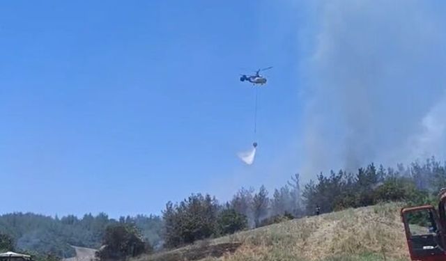 Adana'da anız yangını ormana sıçradı