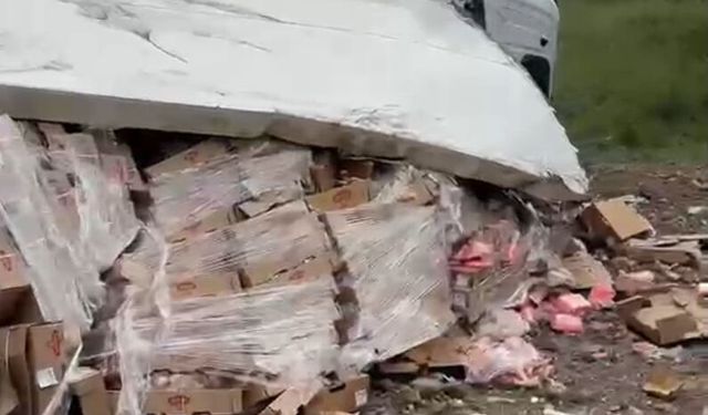 Amasya'da TIR şarampole devrildi!