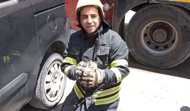 Aracın motoruna sıkışan kediyi itfaiye kurtardı