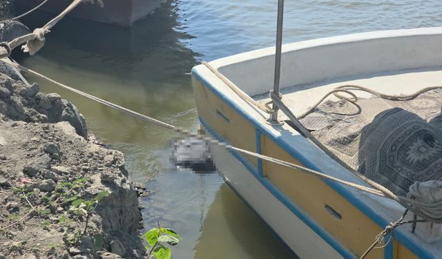 Asi Nehri'nde erkeğe ait cansız beden bulundu