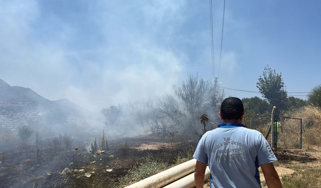 Bodrum'da maki yangını: 1 dekar alan zarar gördü