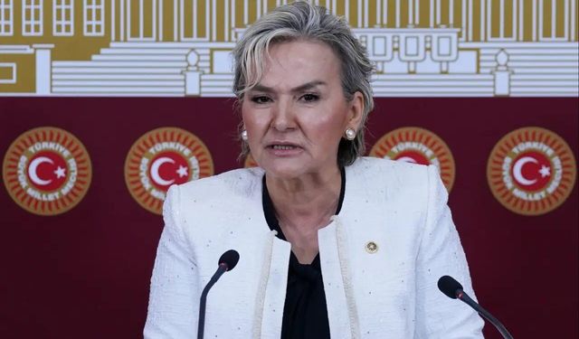 CHP'de istifalar art arda geliyor: Nimet Özdemir istifa etti
