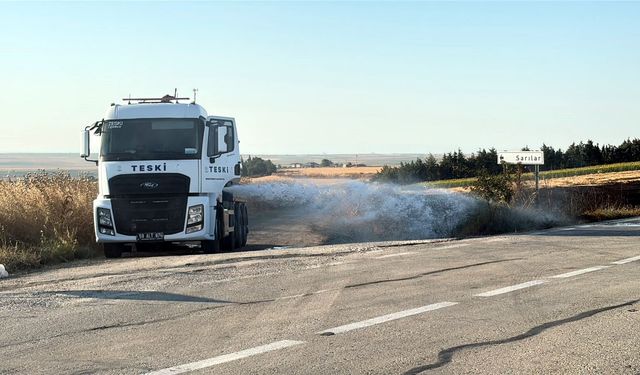 Çorlu'da 350 dönüm buğday ekili alan çıkan yangında zarar gördü