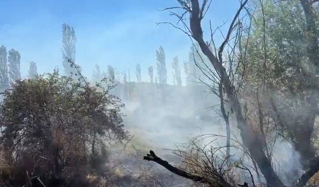 Çorum'da ekili arazi ve ağaçlık alanda yangın çıktı