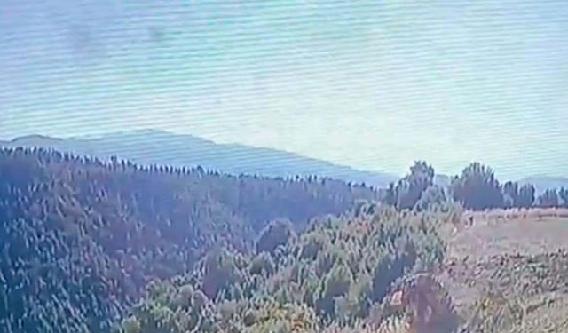 Devrilen traktörün altında kalarak yaşamını yitirdi