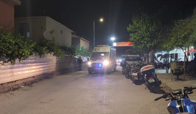 Diyarbakır'da otomobil takla attı: 2 ölü
