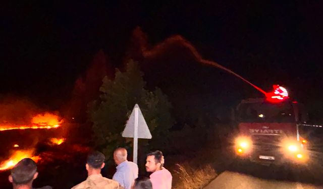 Hatay'da anız yangını, zeytin bahçelerine sıçradı