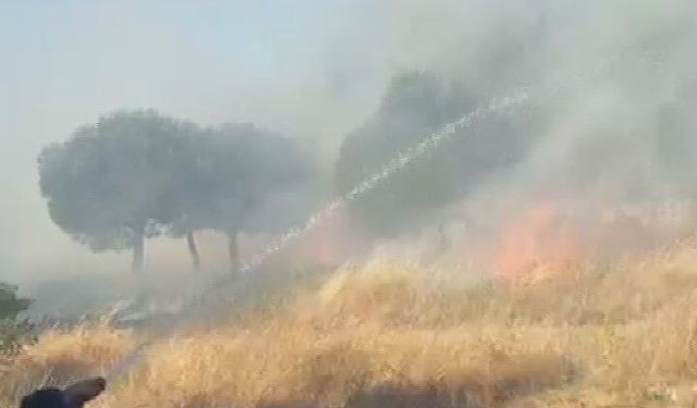 Kağıthane'de otluk alandaki yangın söndürüldü