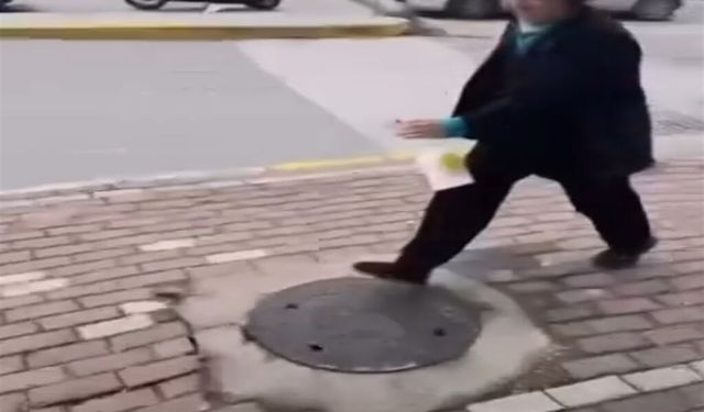 Karamürsel’de kediye yağ çözücü sıkma davasında iki sanığa beraat