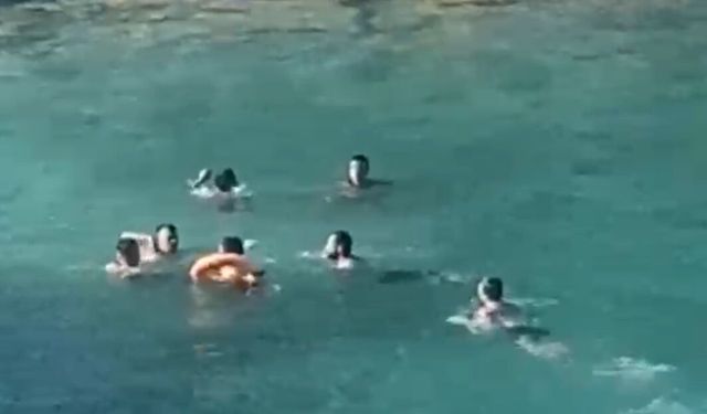 Mersin'de Deniz Ortasında Sopalı Kavga