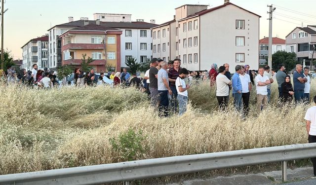 Otomobilin çarptığı Rabia, öldü