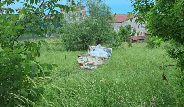 Samsun'da Kamyon ile Kamyonet Çarpıştı
