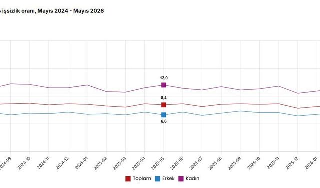 TÜİK, Mayıs 2026 dönemine ilişkin iş gücü istatistiklerini açıkladı