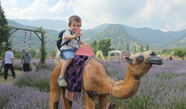 Adana'da lavanta bahçeleri turizmin yeni gözdesi oldu