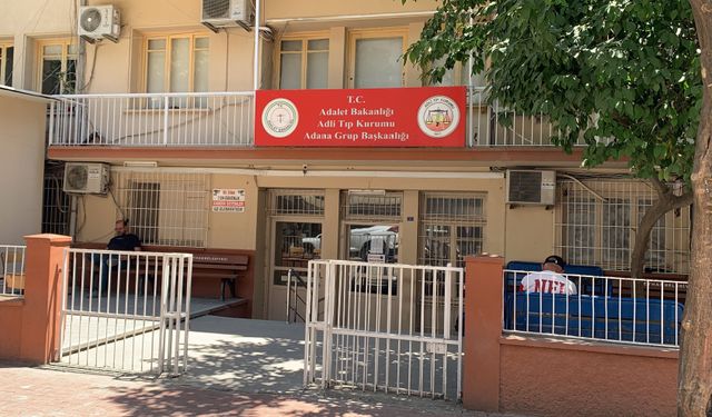 Adana'da sulama kanalına düşen kardeşler öldü