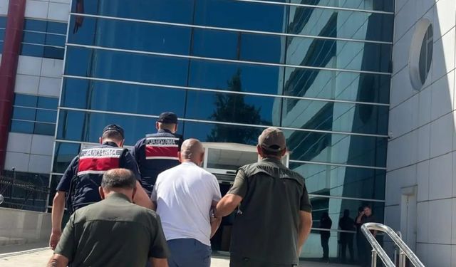 Adıyaman'da ormanı yakan şüpheli tutuklandı
