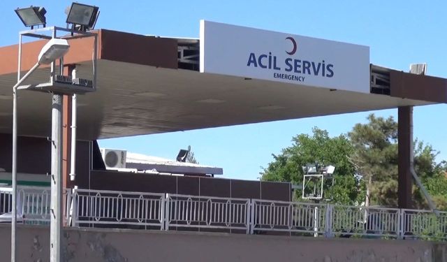 Ağabeyi tarafından bıçaklanarak öldürüldü
