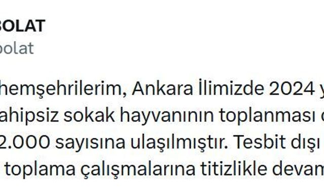 Başkentte 52 bin sahipsiz sokak hayvanı toplandı