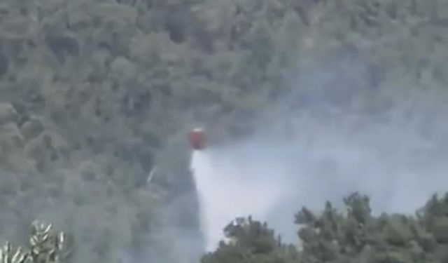 Bodrum'da korkutan yangın