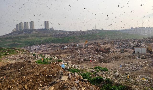 Çevreyi Kirleten İşletmelere Yüklü Ceza