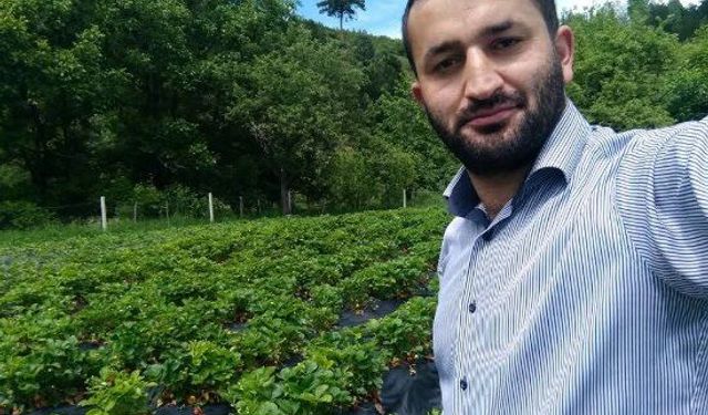 Çorum'da Köye İnen Ayılar Bahçelere Saldırdı