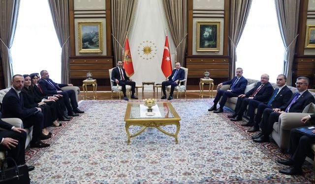 Cumhurbaşkanı Erdoğan Milojko Spajic'i kabul etti