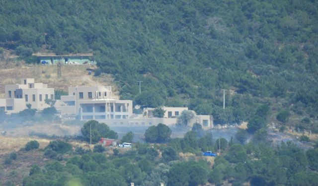 Cunda Adası'nda orman yangını çıktı