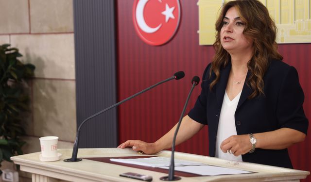 DEM Parti yasa taslağının İmralı heyetine iletilmesini bekliyor
