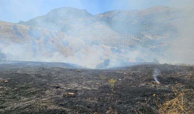 Dicle'de örtü yangını çıktı