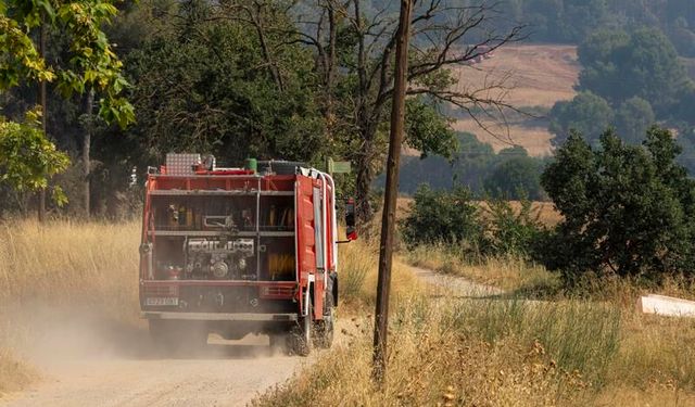 İspanya'da Korkutan Yangın
