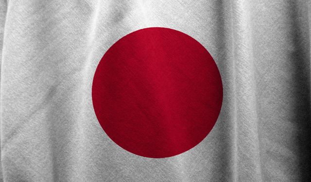 Japonya'da Ahşap Ev Yandı