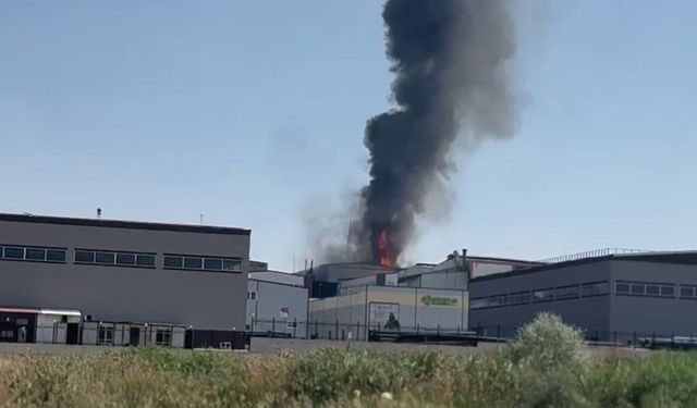 Kahramankazan'da korkutan yangın!