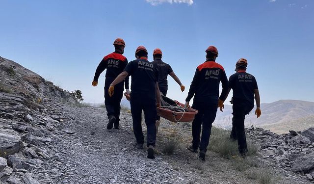 Kekik toplamaya çıktığı dağda ölü olarak bulundu