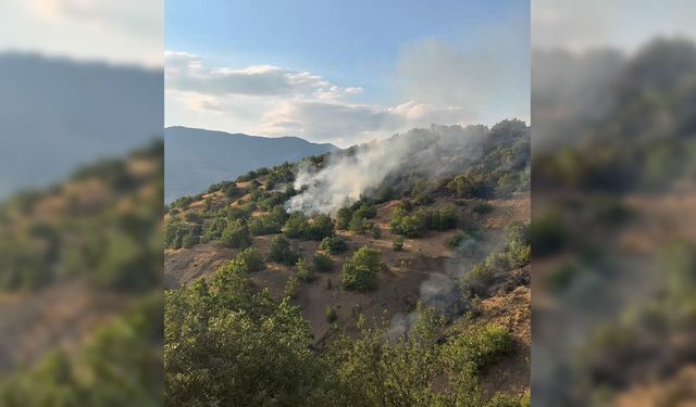 Malatya'da orman yangını kontrol altına alındı
