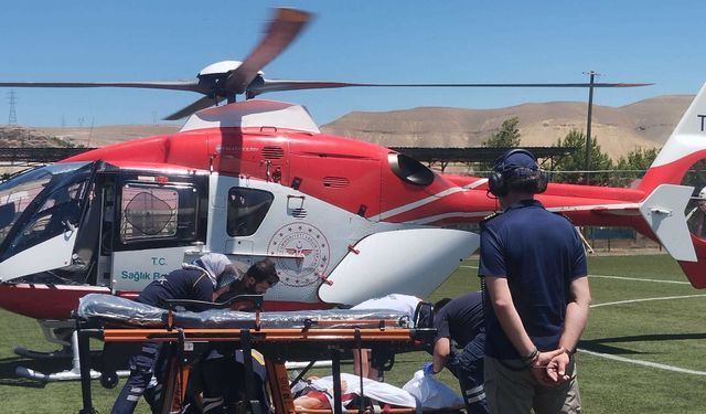 Malatya'da otomobil ağaca çarptı; evli çift öldü