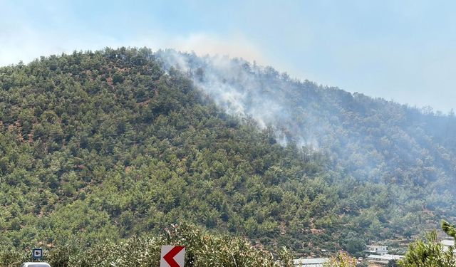 Mersin'deki orman yangını kontrol altına alındı