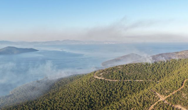 Milas'taki orman yangını devam ediyor