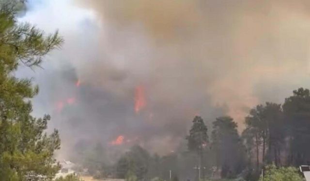 Muğla'da Korkutan Yangın