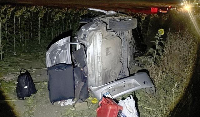 Otomobil ayçiçeği tarlasına devrildi