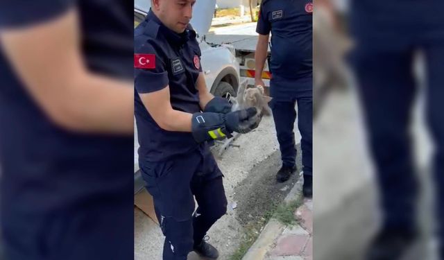Otomobilin motoruna giren yavru kedi itfaiye tarafından kurtarıldı