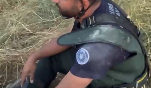 Rögara düşen keçi itfaiye ekiplerince kurtardı