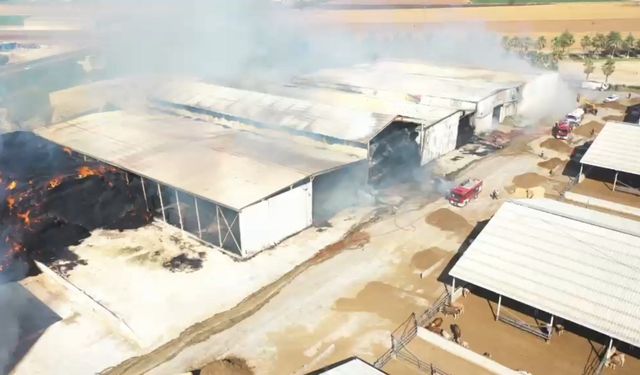 Şanlıurfa'da depoyu saran yangına TOMA'lar müdahale etti