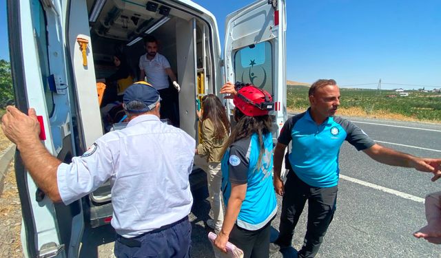 Şanlıurfa’da Otomobil Minibüse Arkadan Çarptı: 12 Yaralı
