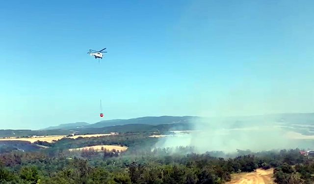 Tekirdağ'da orman yangını