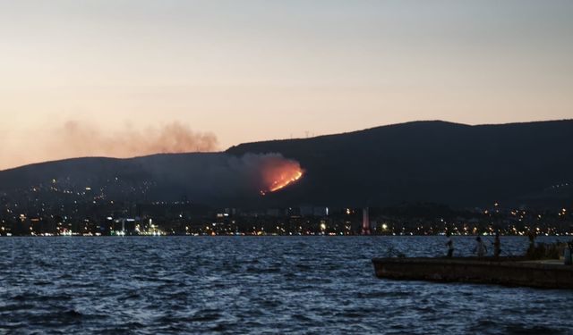 İzmir'de Orman Yangını