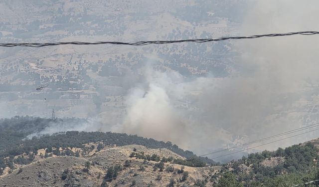Adıyaman'da iki köy arasında orman yangını