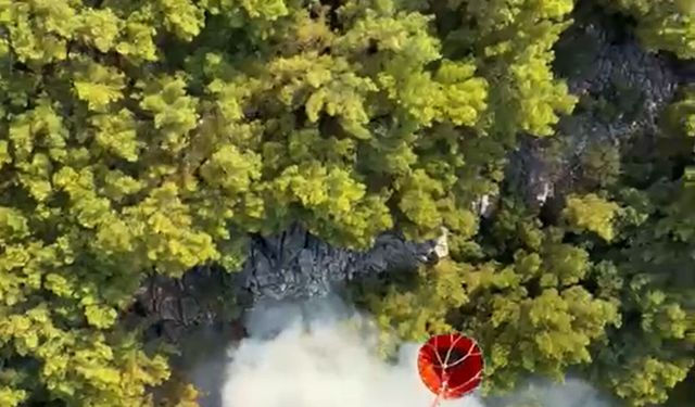 Antalya'da orman yangını çıktı